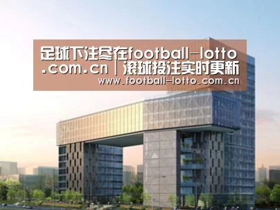 案例展示四(图1) 案例展示四(图1)