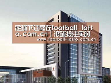 案例展示七