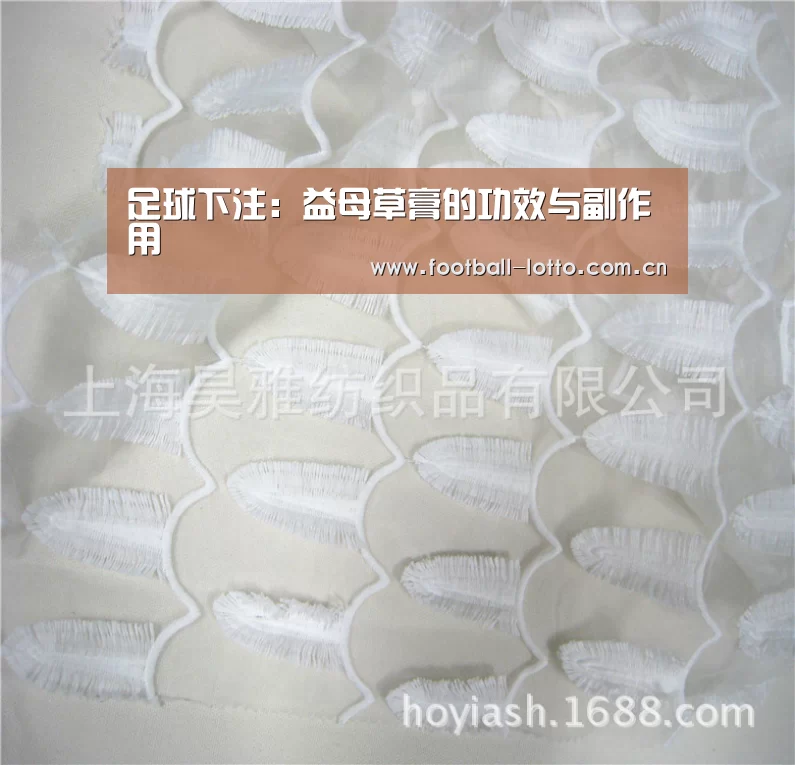 足球下注